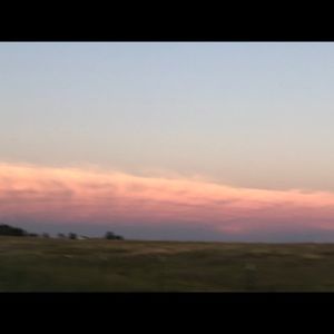 Meet your Posher, Punky